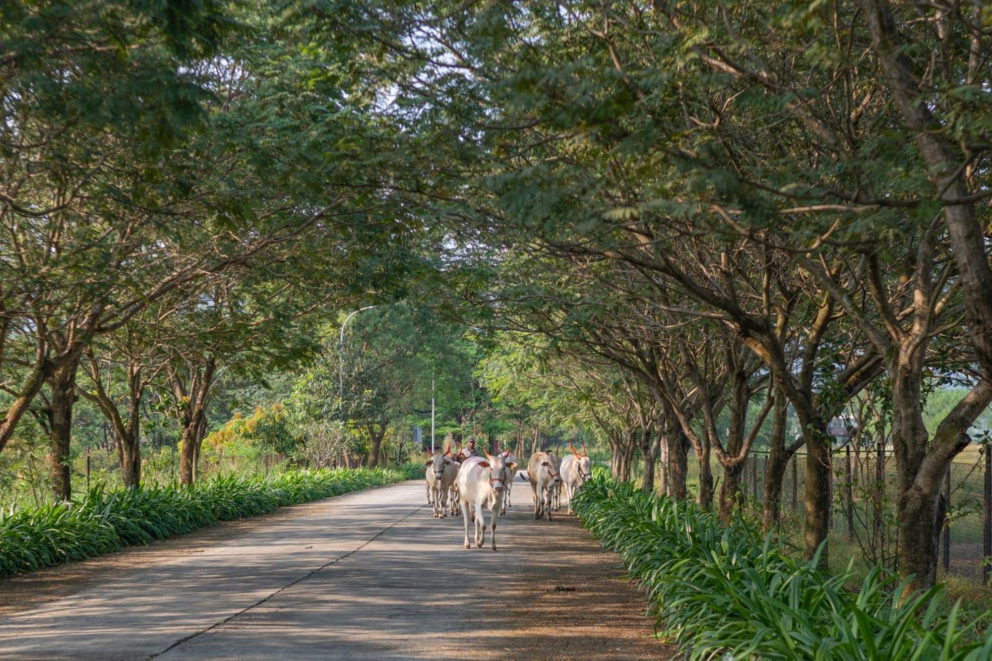 Sterling Stolen Heaven Lonavala Hotel Buitenkant foto